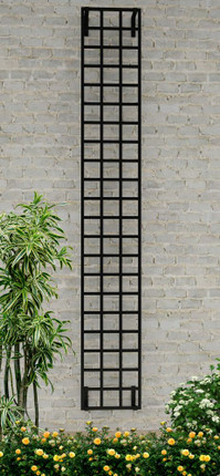 12" Wide Modern Steel Wall Trellis - set of 2