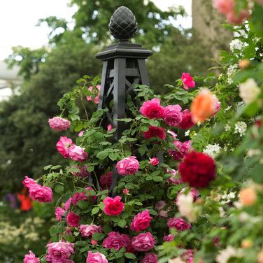 Malmaison Pillar large rose pillar