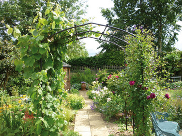 Vine Arch with Lattice and vines