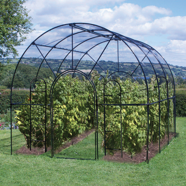 Roman Fruit Cage