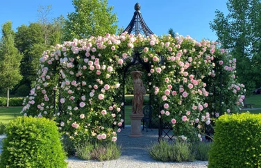 Schoenbrunner Rose Pavilion