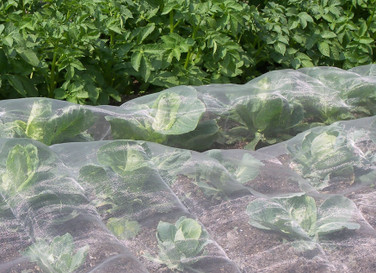 Veggie Mesh Garden netting 13'9" wide x 32'10" long