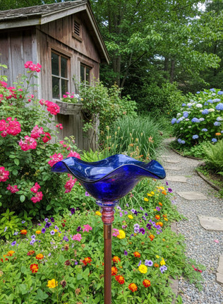 Cobalt Blue Blown Glass Butterfly Feeder along path