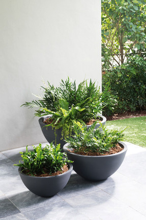 Delano Round planters