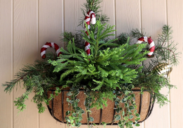Holiday Decor from Foraged Materials