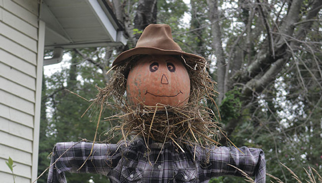 Create a Scarecrow (and other things) with Pot Rings