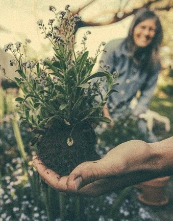 Garden Tools: Top 10 Favorites that Make Your Garden Chores Easier