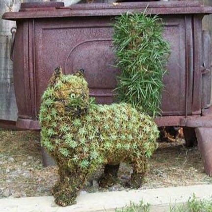 Topiary for the Home Garden