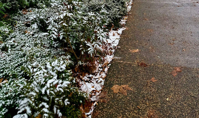 How Ice Melt Products Damage Your Landscape—and How to Choose Safer Options