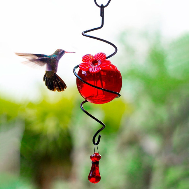 Droplet Spiral Hanging Hummingbird Feeder - Red