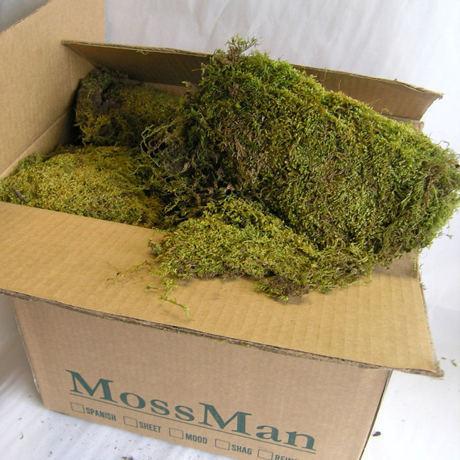 Floral Sheet Moss - Emerald Green Moss - 1.5 cubic feet
