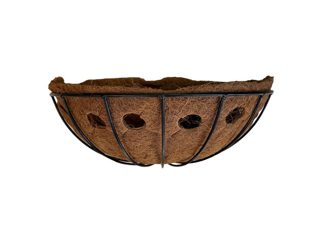 20" Wide Wall Basket with Side Planting Coco Liner