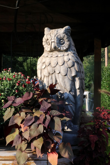 Owl Concrete Statue