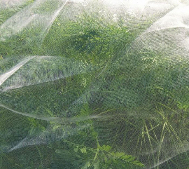 Ultra Fine Insect Netting - crop protection