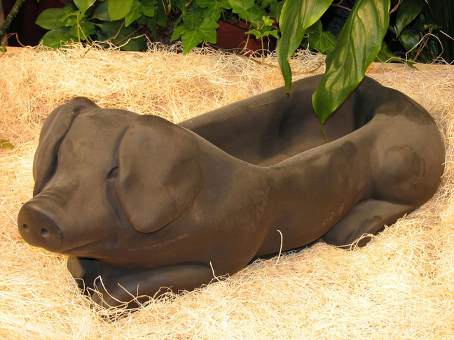 Pig Planter concrete with a dark stain
