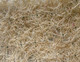 Curlex® I - 4' and 8' wide rolls - 15 roll minimum