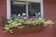 Hayrack Planters 24”, 30”, 36