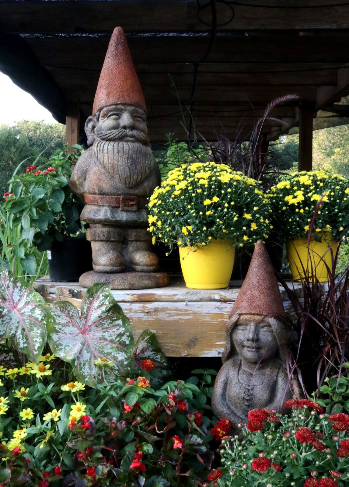Zoe Garden Gnome Statue