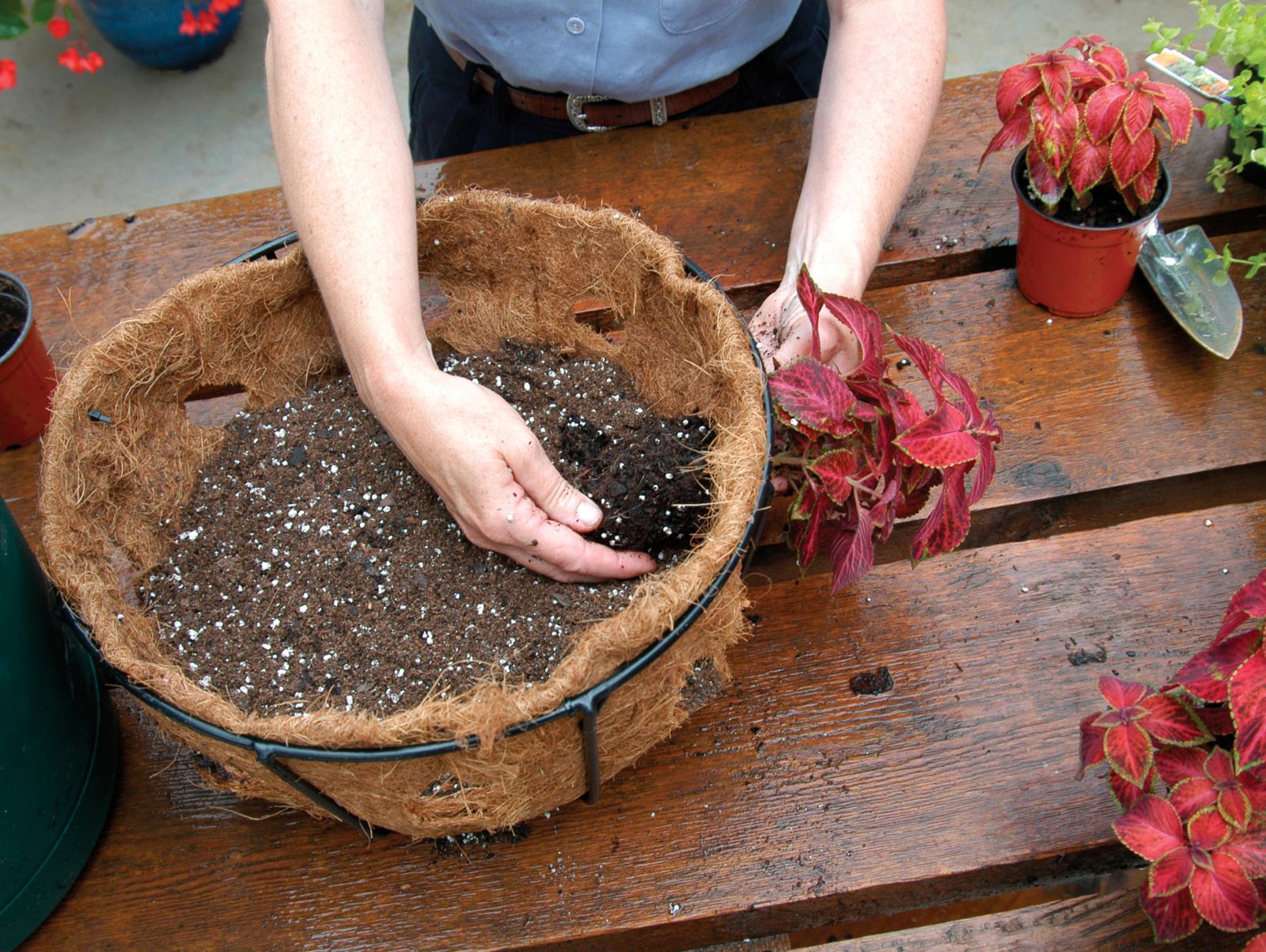 フラワー籠 Pamela Crawford Side Planting Baskets 14