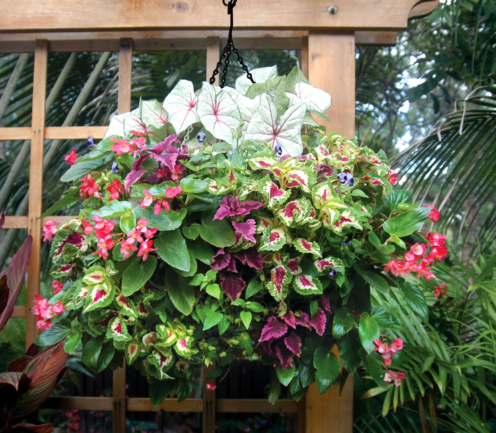 Pamela Crawford Side Planting Baskets 14