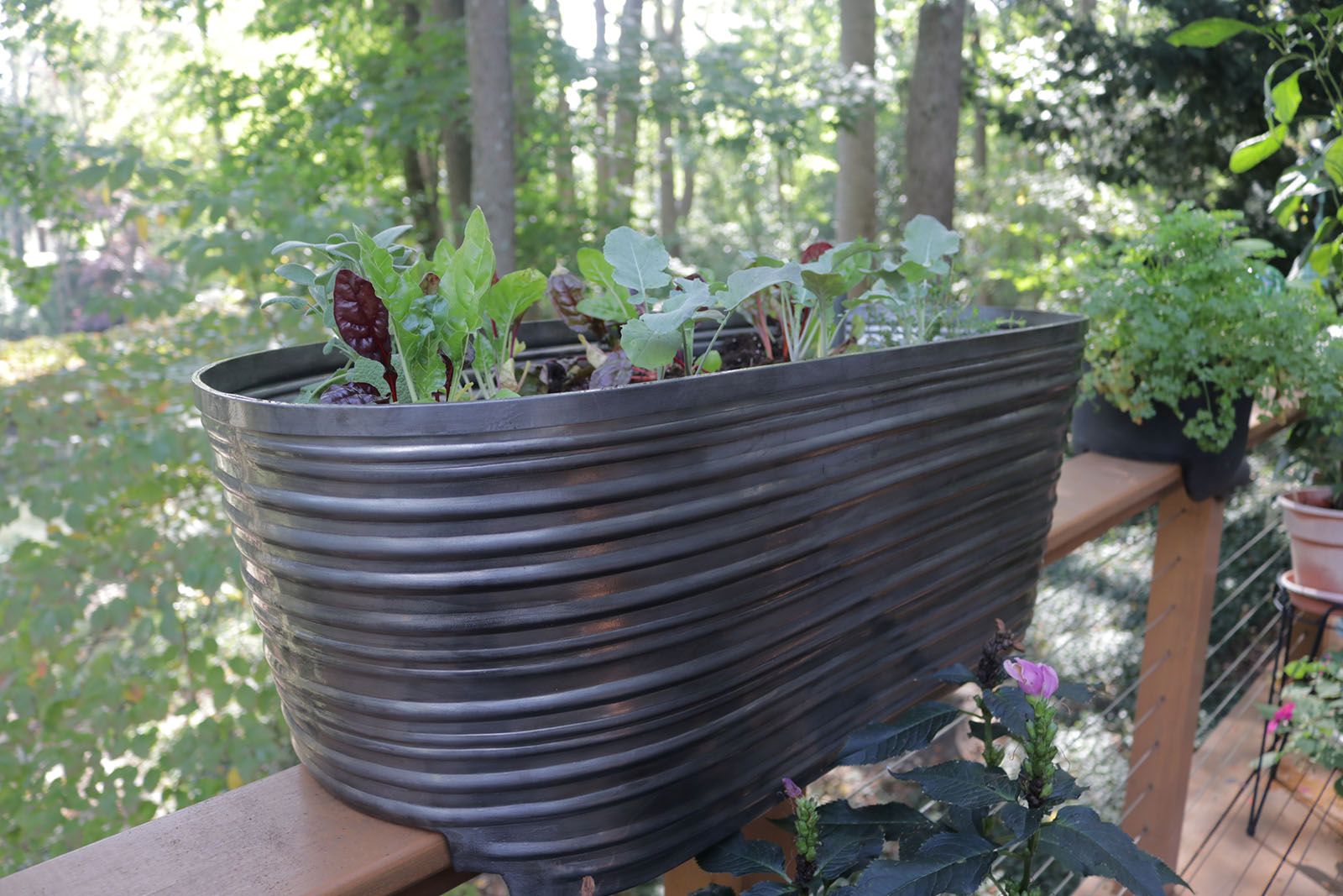 Esin Self-Watering Aluminum Deck Planter Pewter Finish