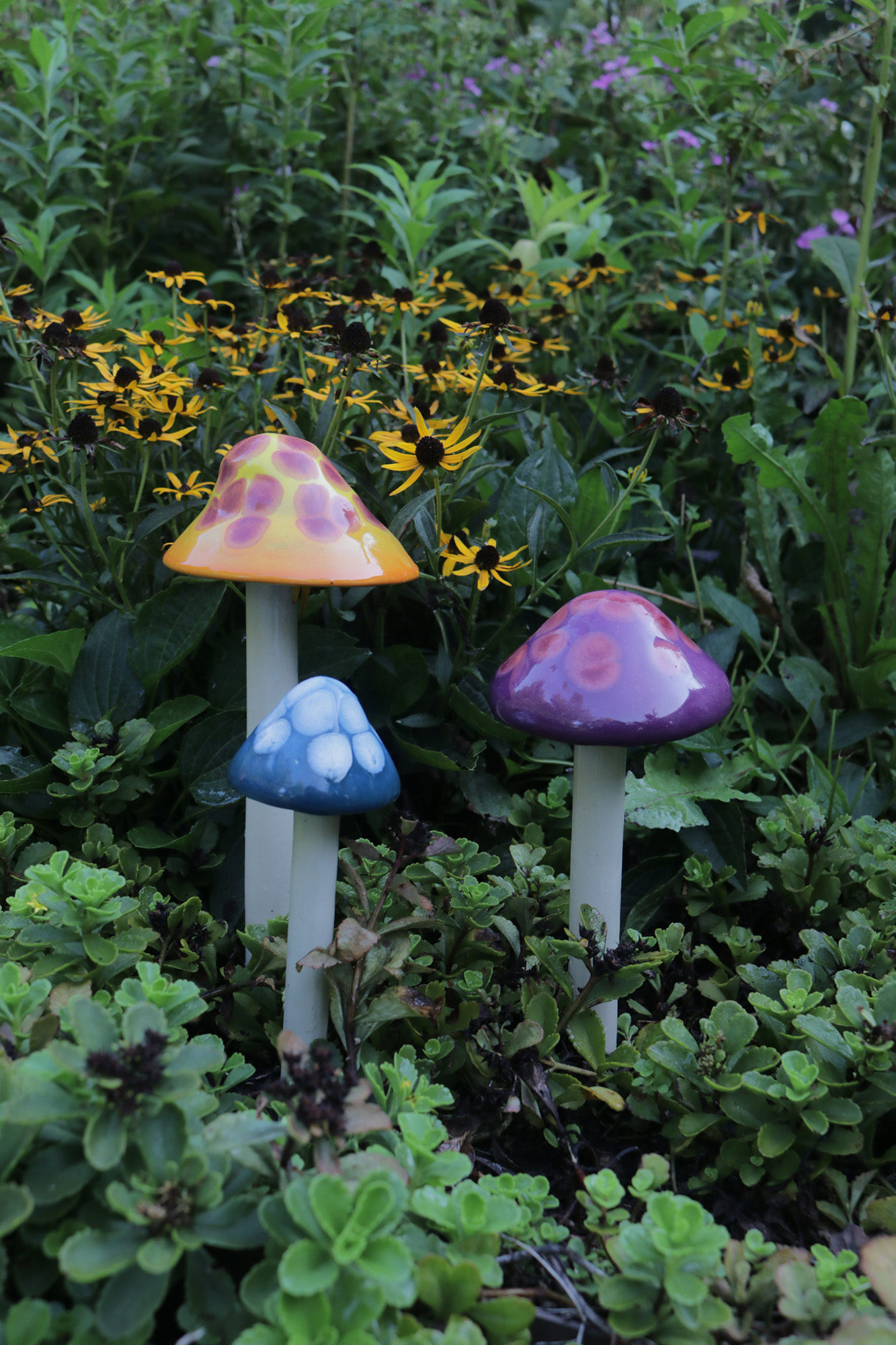 Funtastic Shroomyz Mushroom Collection Set of 5