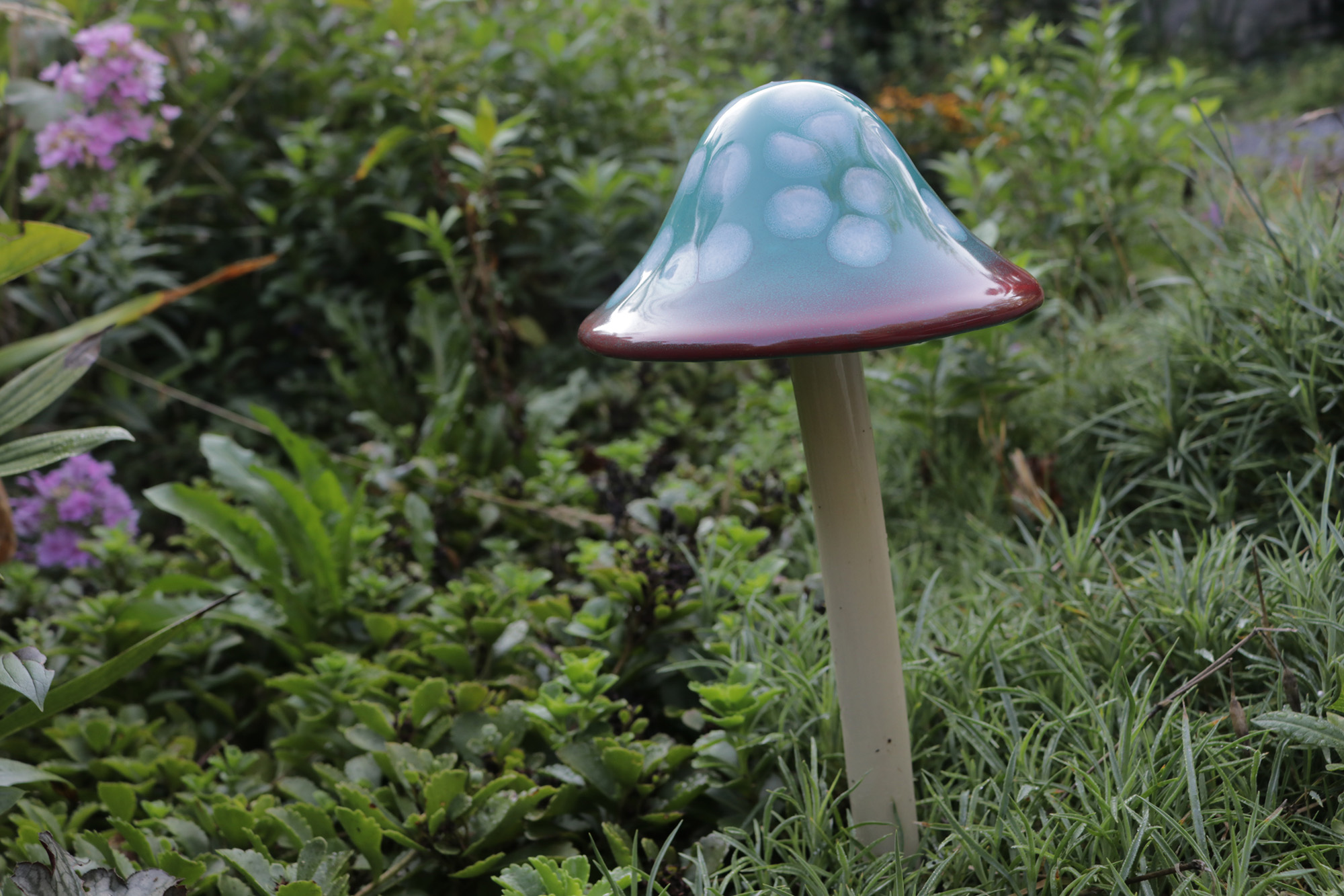 Funtastic Shroomyz Mushroom Collection Set of 5