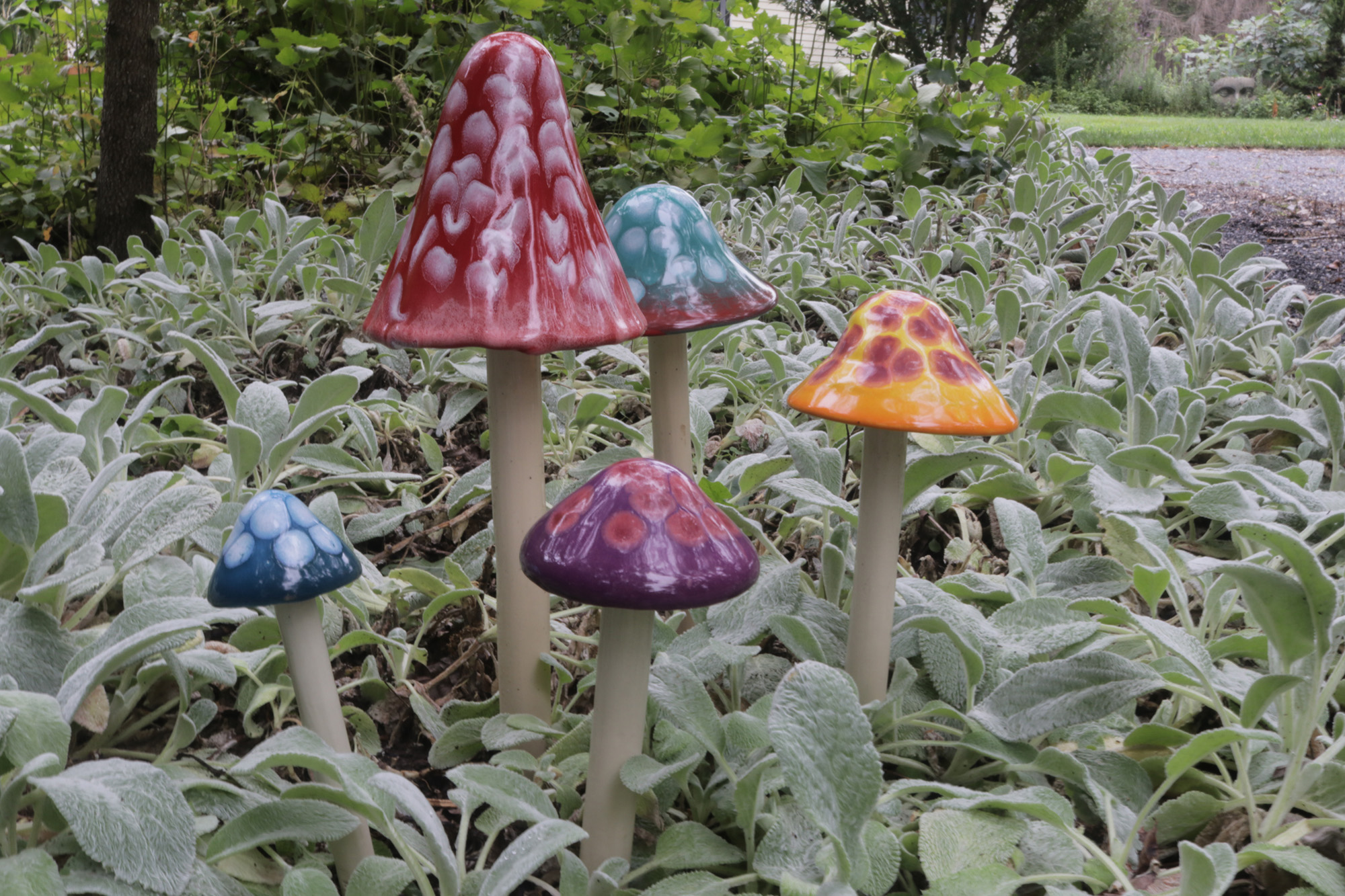Funtastic Shroomyz Mushroom Collection Set of 5
