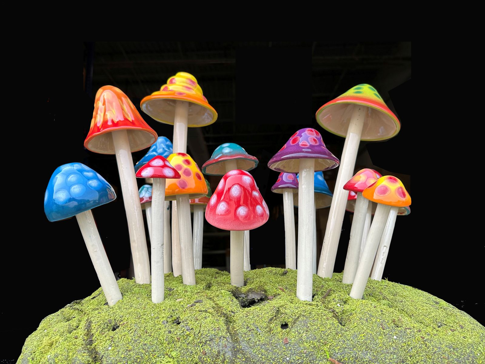 mushroom　0324 Funtastic Shroomyz Mushroom Collection Set of 5