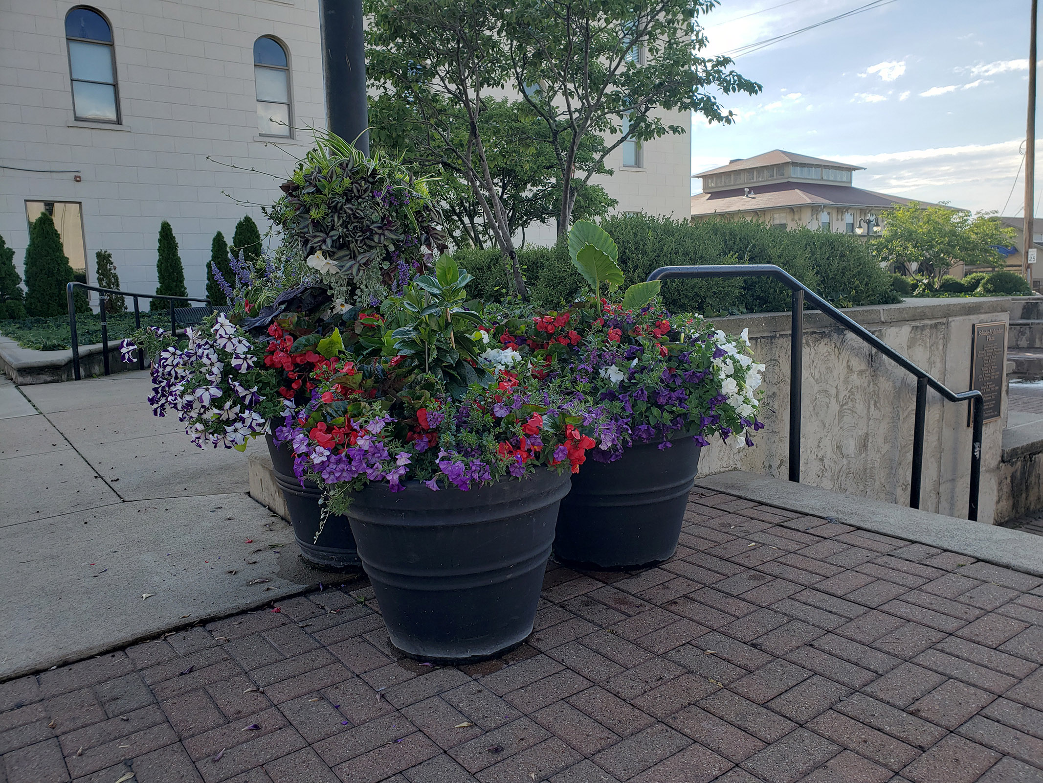 Brunello Planter - 12