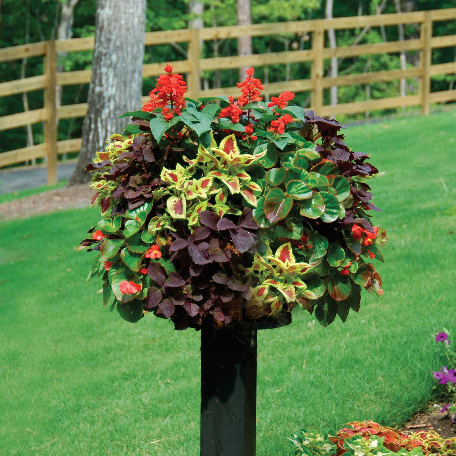 Pamela Crawford Border Column Kit (wood)