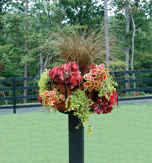 Pamela Crawford Border Column Kit (wood)