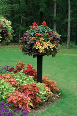 Pamela Crawford Border Column Kit (wood)