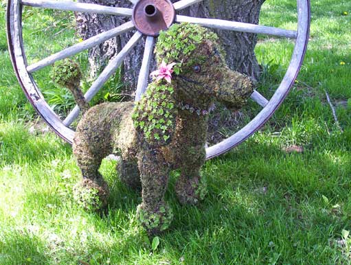 Greenpiece Wire Art Poodle Topiary - Thumbnail 3