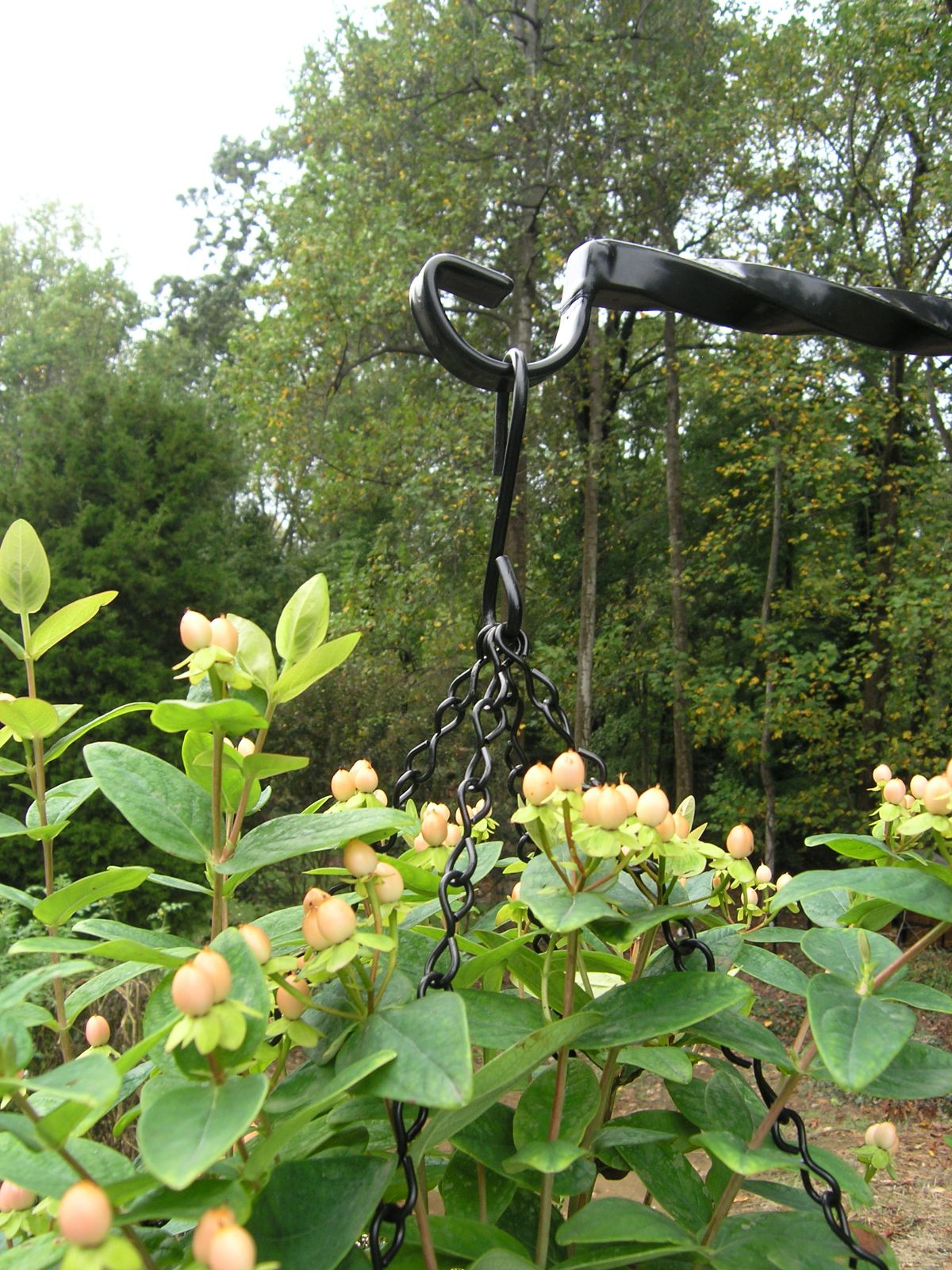 Hanging Basket Replacement Chains