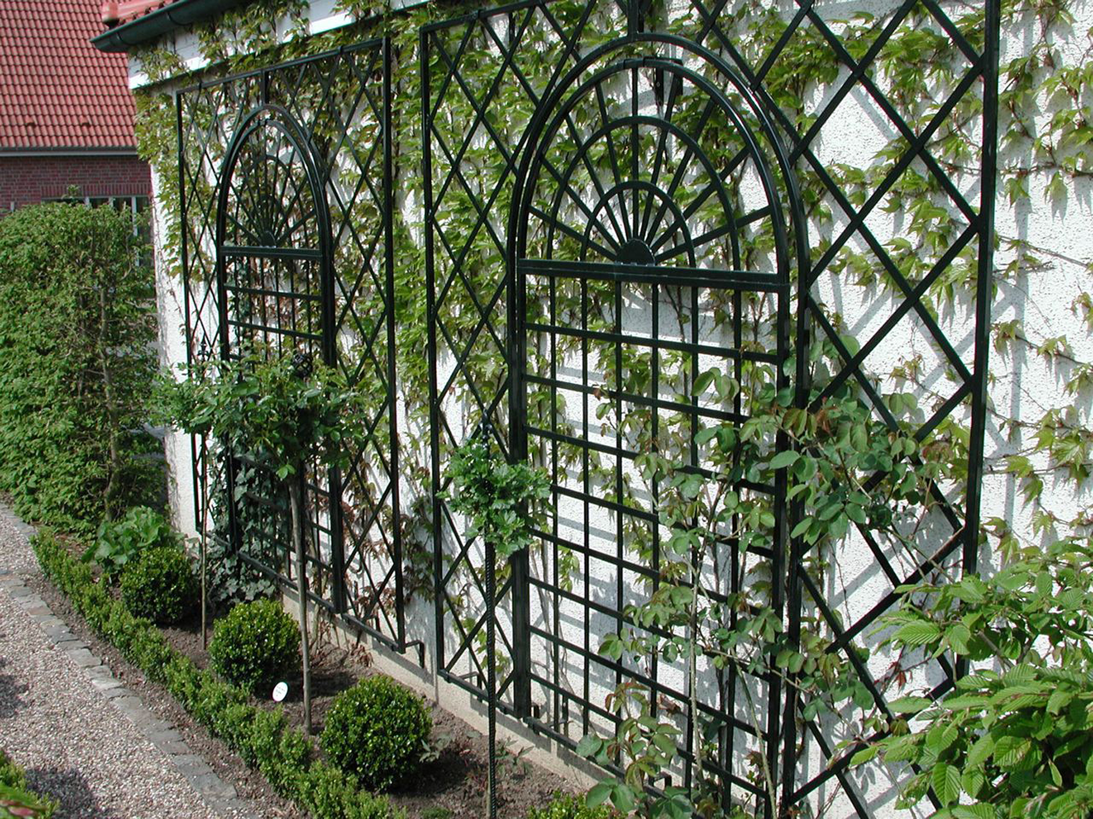 GIRUVI 「Grow on the Wall」Gracilius Amazon.com : Grooy Boxwood Roll Panels, Grass Wall 40