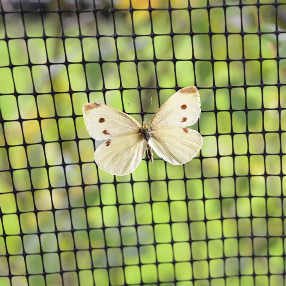 Rigid Butterfly Netting 13 Ft Wide - sold by the foot - Garden