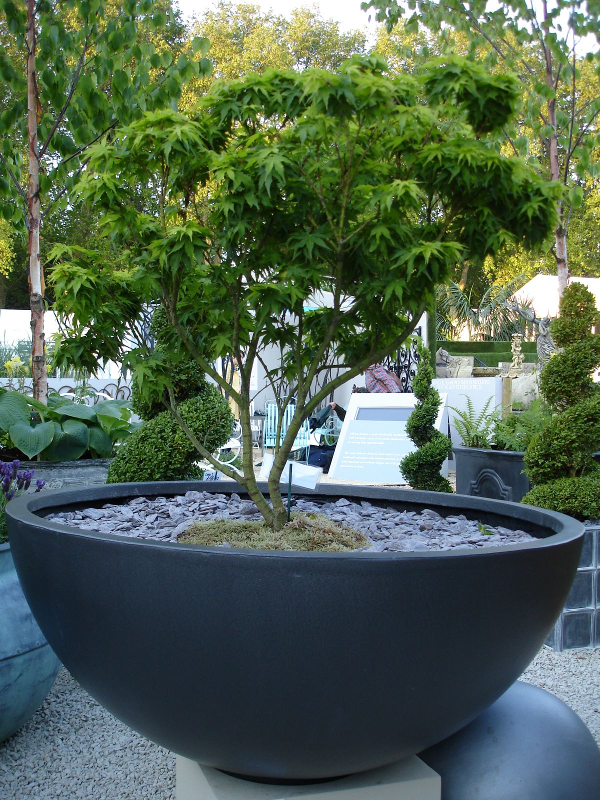 Capital Garden Products Bowl Planter - Thumbnail 2