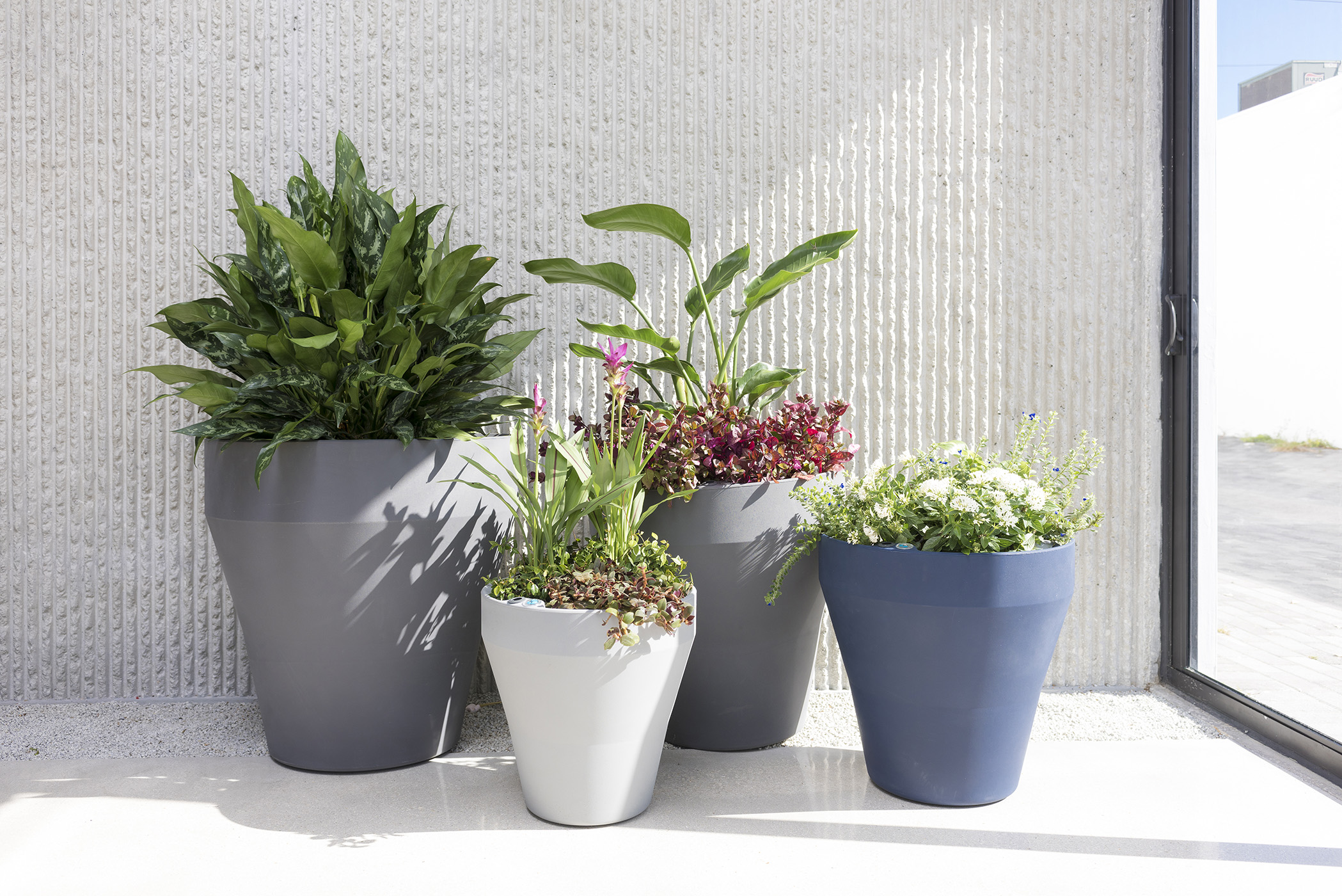 宮下将太 / silver dwarf pot planter 宮下将太 / silver dwarf pot planter