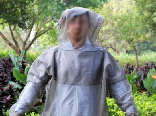 Summer Buzzing & Humming - Say No to Mosqitoes and Yes to Hummingbirds Summer Buzzing & Humming - Say No to Mosqitoes and Yes to Hummingbirds