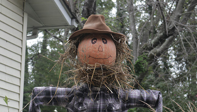 Create a Scarecrow (and other things) with Pot Rings - Garden