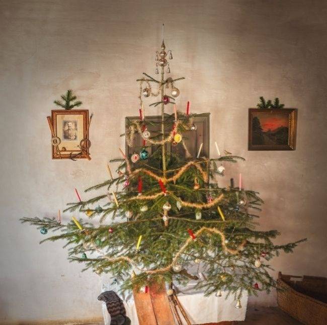 The Christmas Tree: Its History and Evolution The Christmas Tree: Its History and Evolution