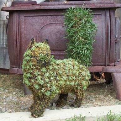 Topiary for the Home Garden