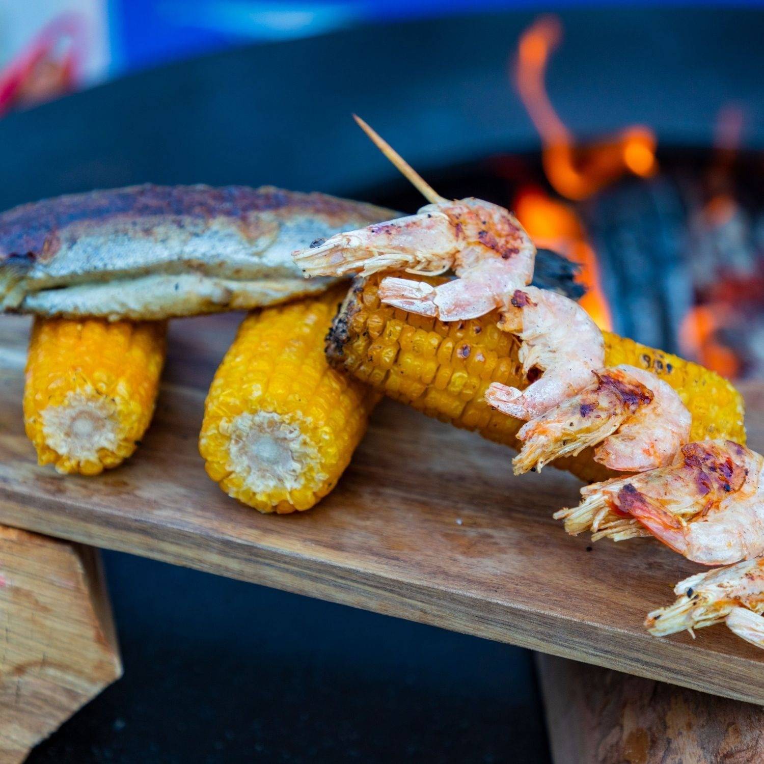 Open Fire Camping Cooking - Campfire Recipes & Cookware