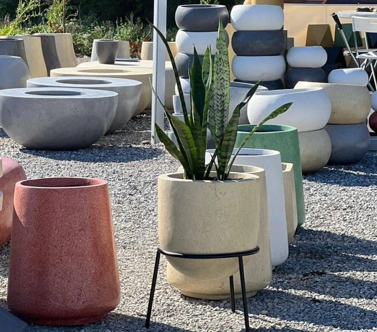 How to Choose the Right Planter