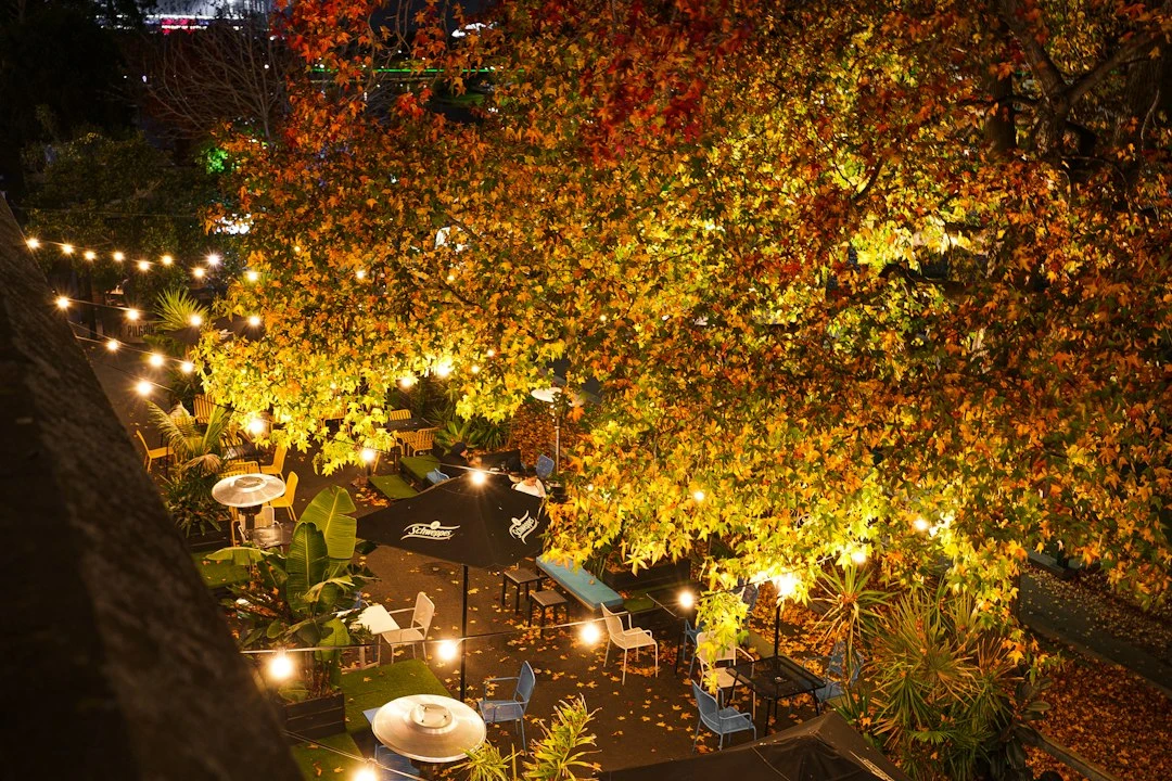 Fall Garden Do’s and Don’ts: A Practical Guide by Climate