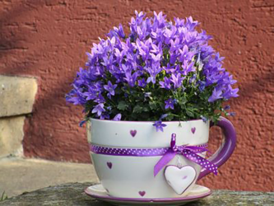 planter boxes plastic Contemporary Planter Box for the Modern Garden  Loll Designs