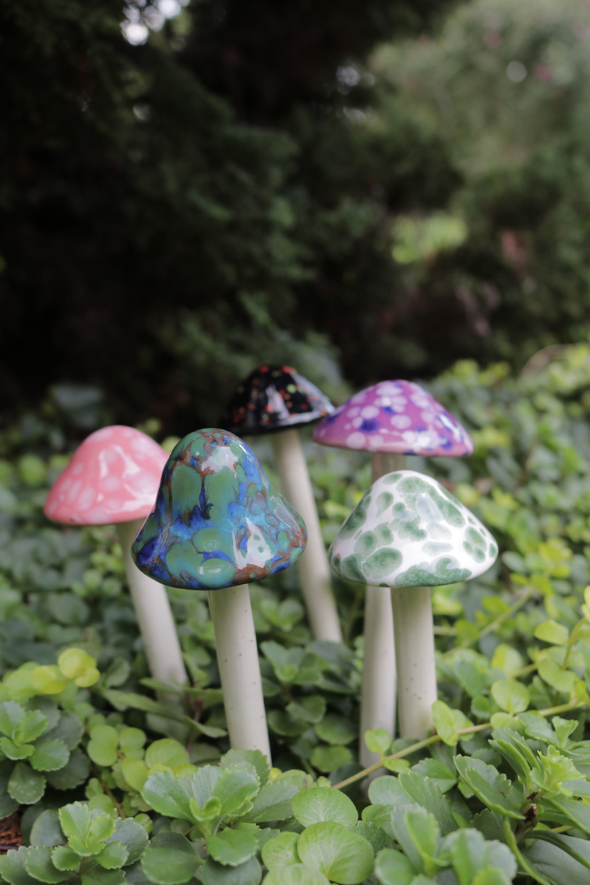6" Shroomyz Mushroom Collection - Set of 5 Assorted Colors