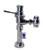 Flushometer, Commode 1