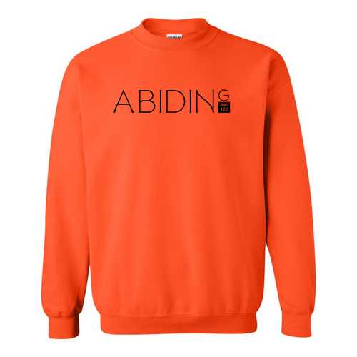 Abiding Sweatshirt
